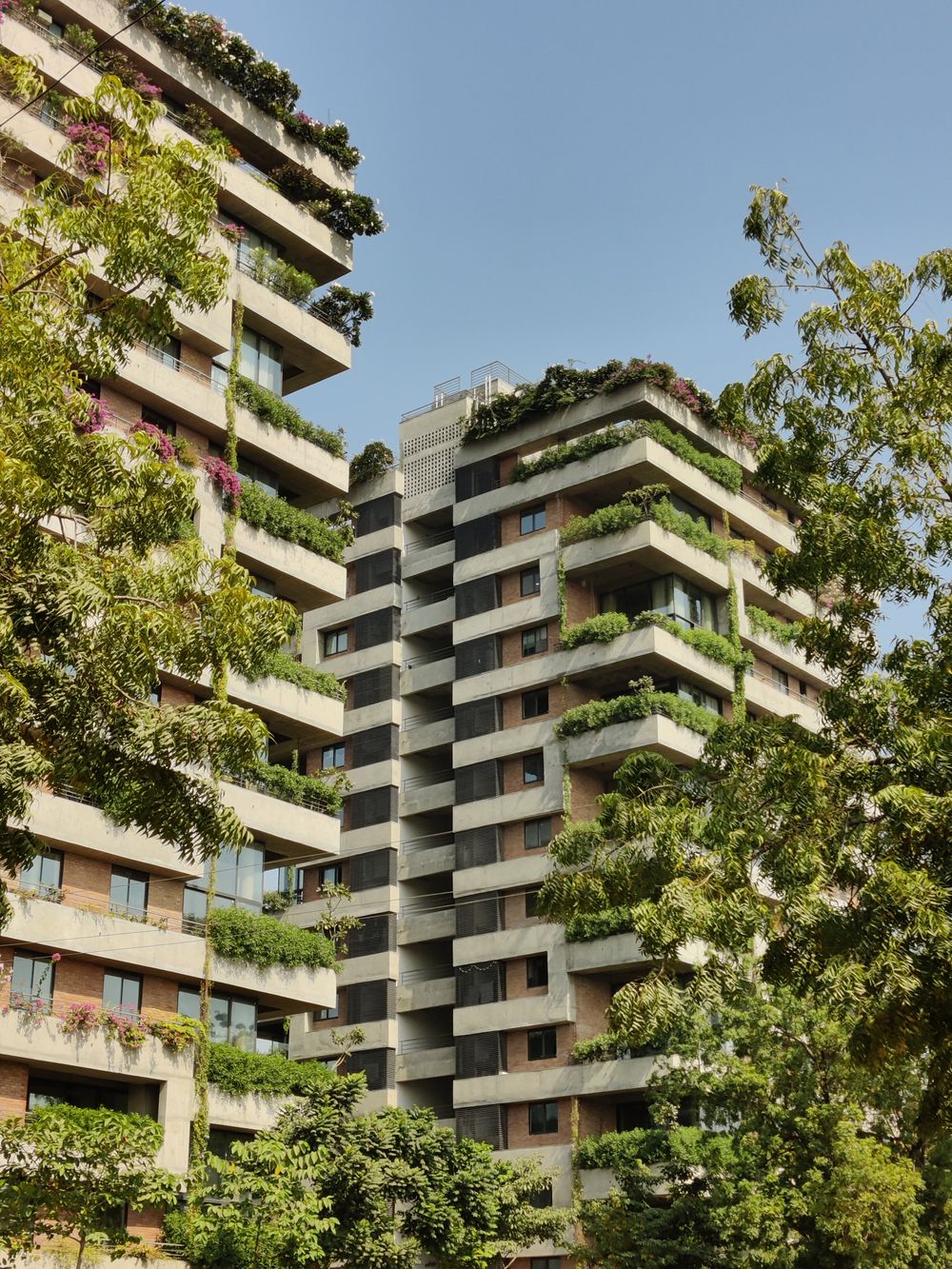 Balcony garden