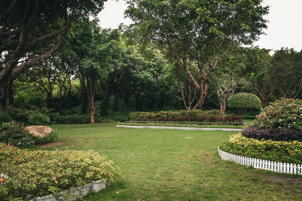 Landscaped lawn with flower beds