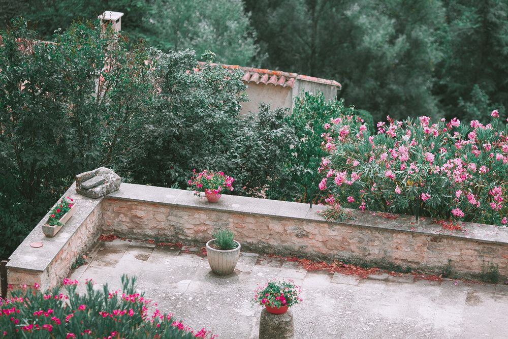 Terrace garden