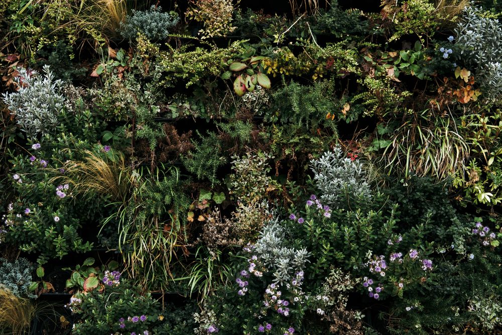 Vertical living wall garden